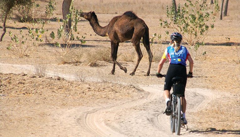 Bini-india-biking-3